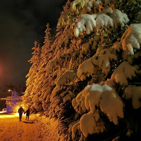 Tatra Z Widokiem Na Gory Lejlighed