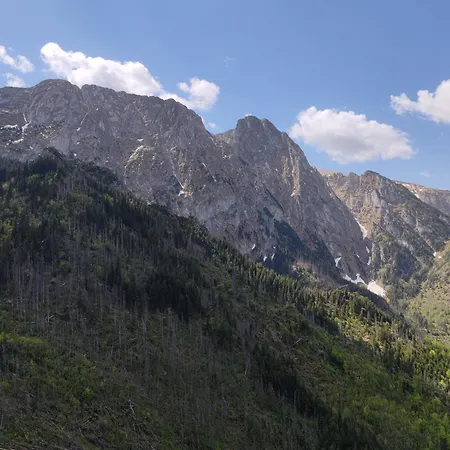 Tatra Z Widokiem Na Gory Lejlighed Kościelisko