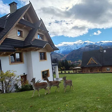 Tatra Z Widokiem Na Gory Lejlighed