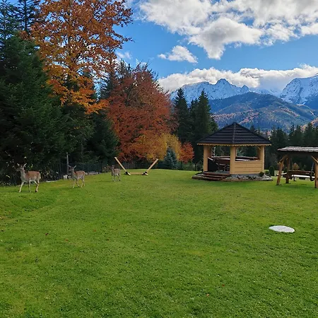 Lejlighed Tatra Z Widokiem Na Gory *