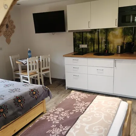 Tatra Z Widokiem Na Gory Lejlighed Kościelisko