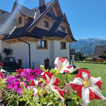 Tatra Z Widokiem Na Gory Kościelisko