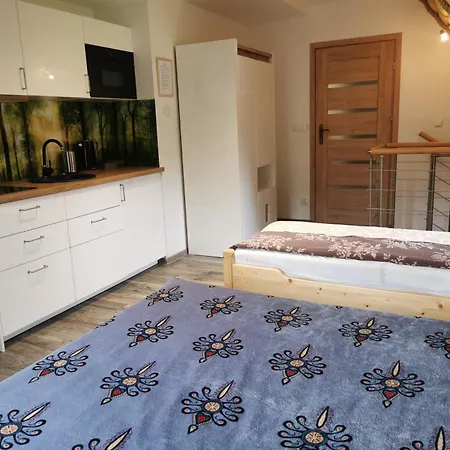 Tatra Z Widokiem Na Gory * Kościelisko