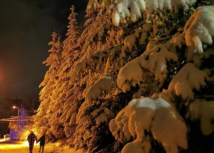 Tatra Z Widokiem Na Góry Apartamento